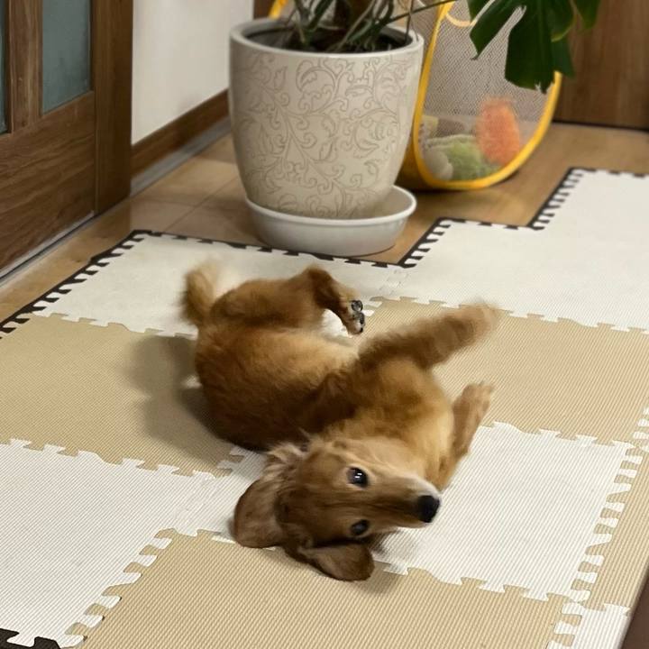 0c40b88c 640e 453c b940 060ac7cbcb79 1654864323627