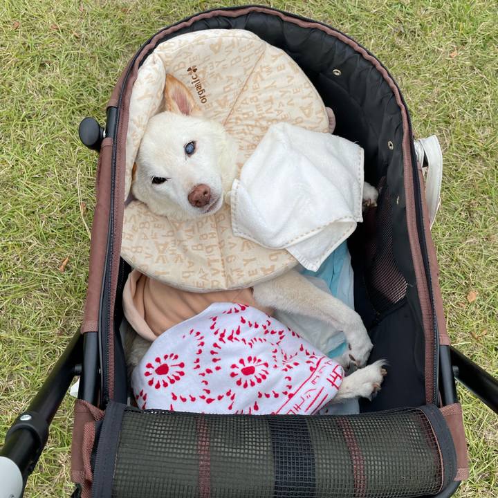 0c40c2c1 8506 49dd b1e9 e464ab88535b 1668856624444