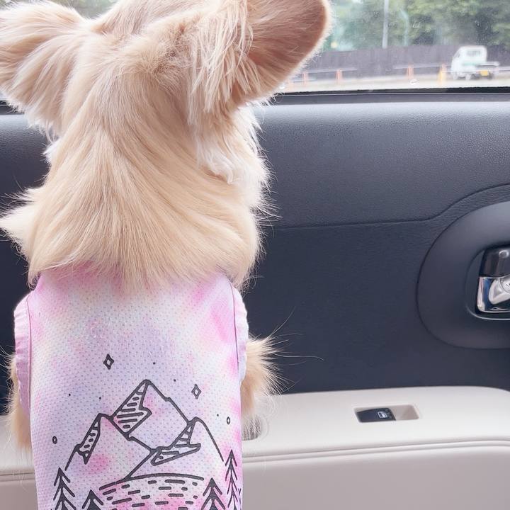 0c40ca85 f89a 4d82 8154 db8e96e6f70b 1749954237640