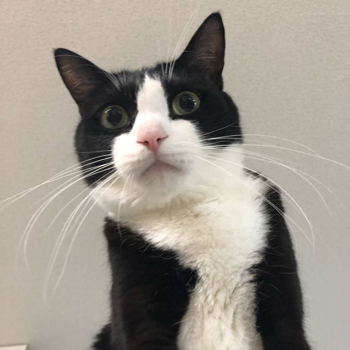 0c40dbd5 ed8b 4615 858b fcb18f3546ad 1550663308619