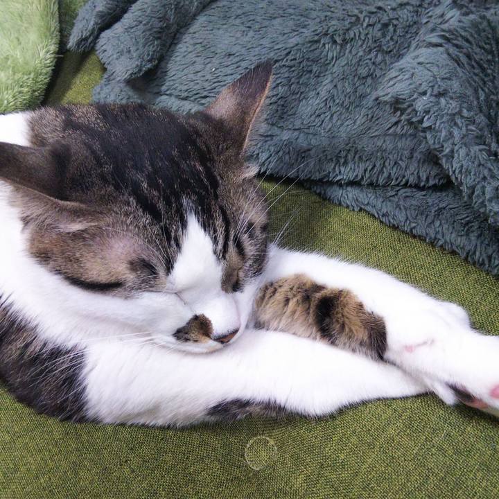 0c40efcf 7360 4bed bb1d 280705a39434 1644148613510