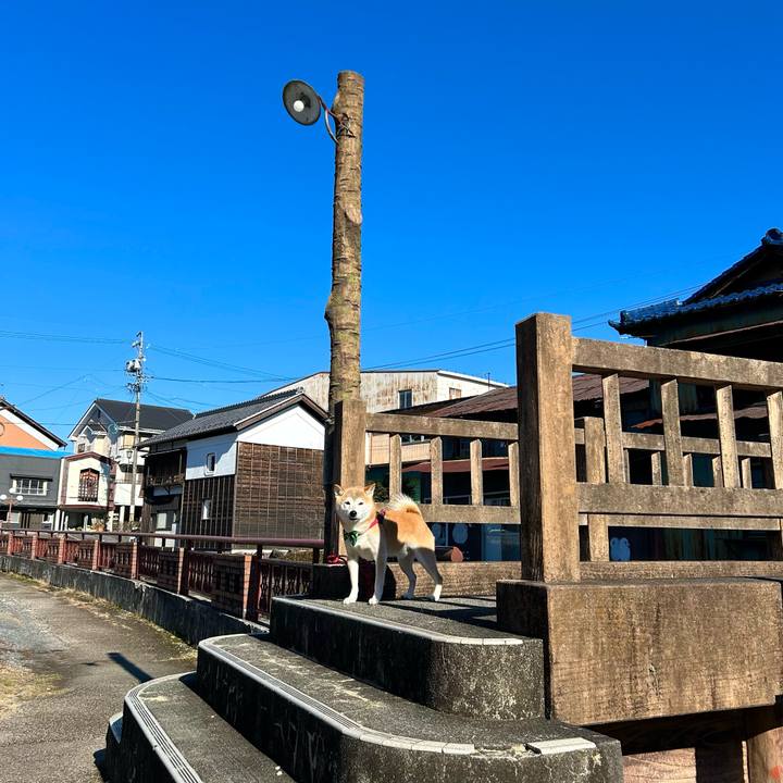 0c414ed5 07bd 48a4 a301 d18ce080314d 1702465936102