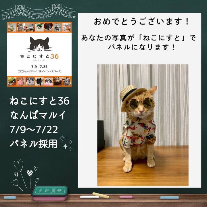 0c416dcb 0037 480f a891 96ce48e22788 1623754840255