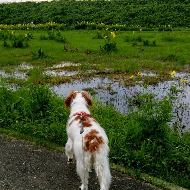 0c4188e0 abbe 44dd bafb 2c13c4d683c8 1563890323190