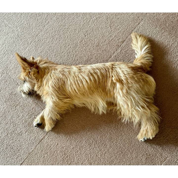 0c419924 9b58 4a8a 8473 561792394701 1723700410251