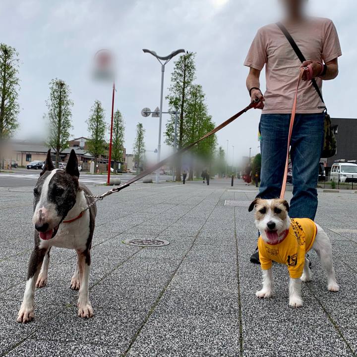 0c41a5cb 21d2 4878 929e 8342b3f7907a 1620507402051