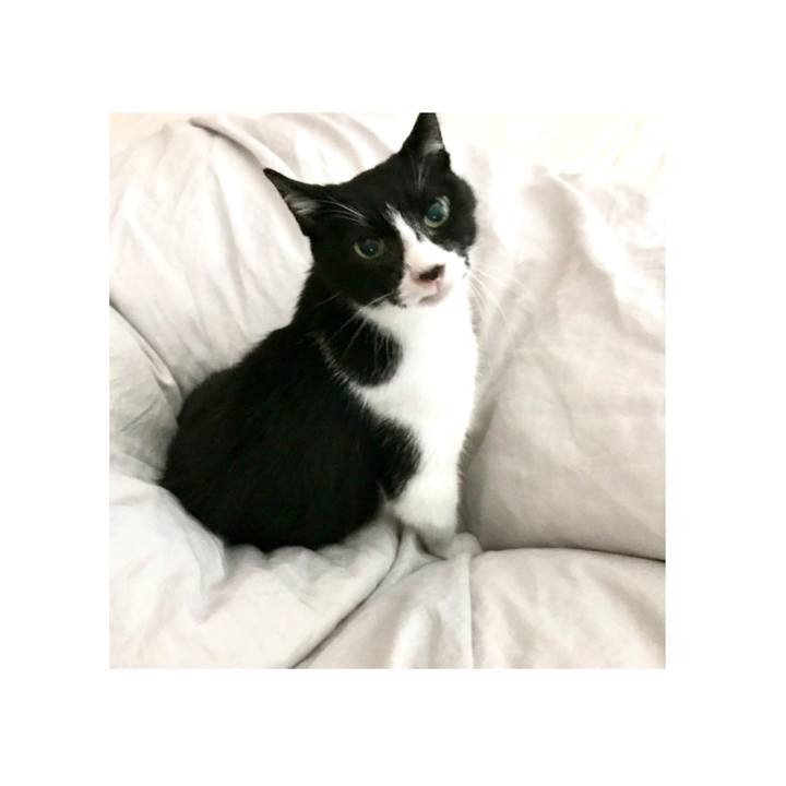 0c41a824 c3a8 4b2a b8dc 1d176aa4d338 1620621190638