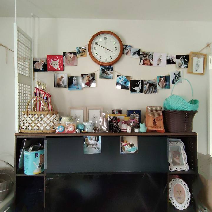 0c41b2ce 0e4a 4363 b8dc 89e9bdcf6329 1723879365828