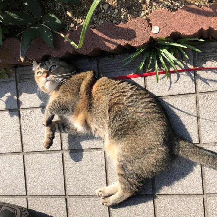 0c41ea57 8a25 4e5f af5f 16aebcc9c93a 1647061962191