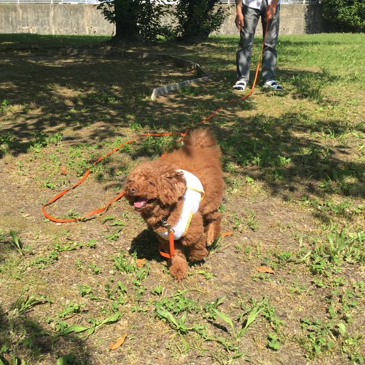 0c42208c 73aa 436f 8f20 f21b442f9fed 1527984024053