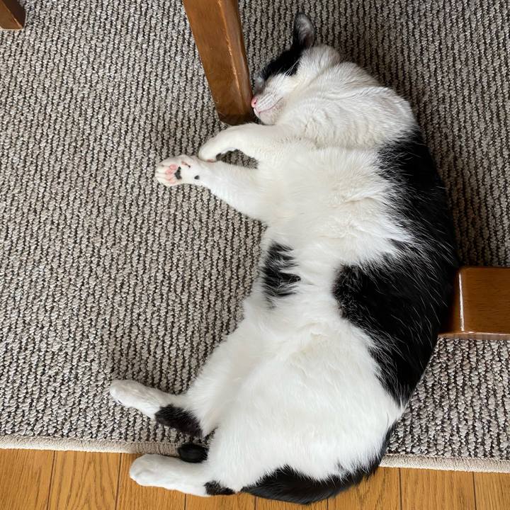 0c425bb0 26af 4a7b ba83 af74a7712468 1616718031842