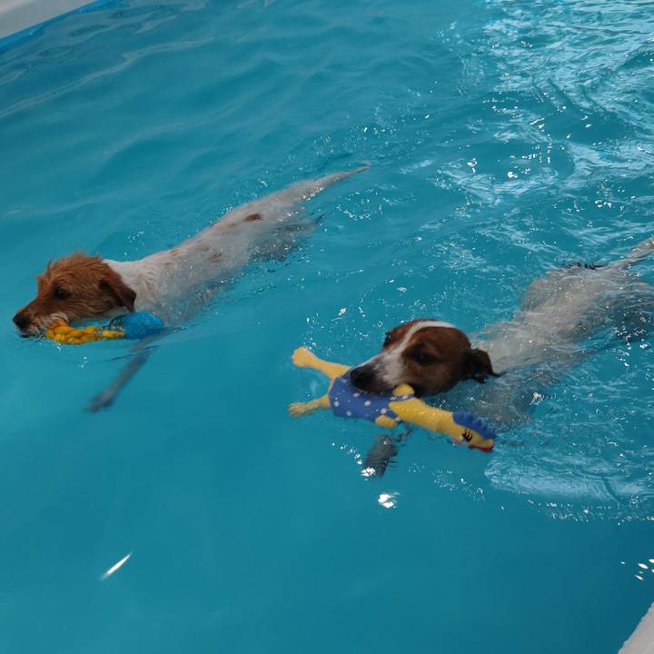 0c425cab e9b7 4783 a3d6 e6ea7c1770fe 1735393771371