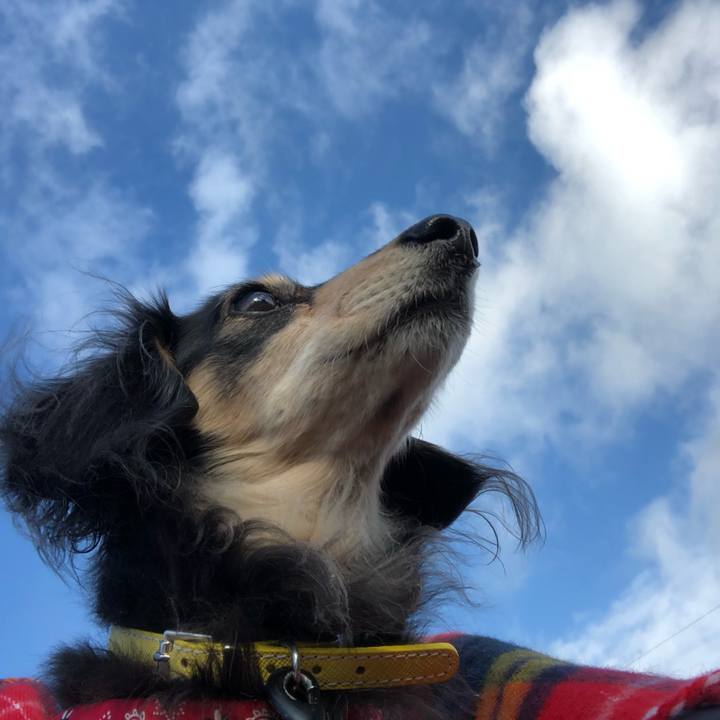 0c427bce 5f2c 403e b874 452bf7502c6c 1609461864079