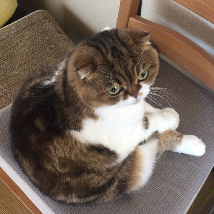 0c429b21 92a9 4955 b306 e2b228d0c120 1512265013988