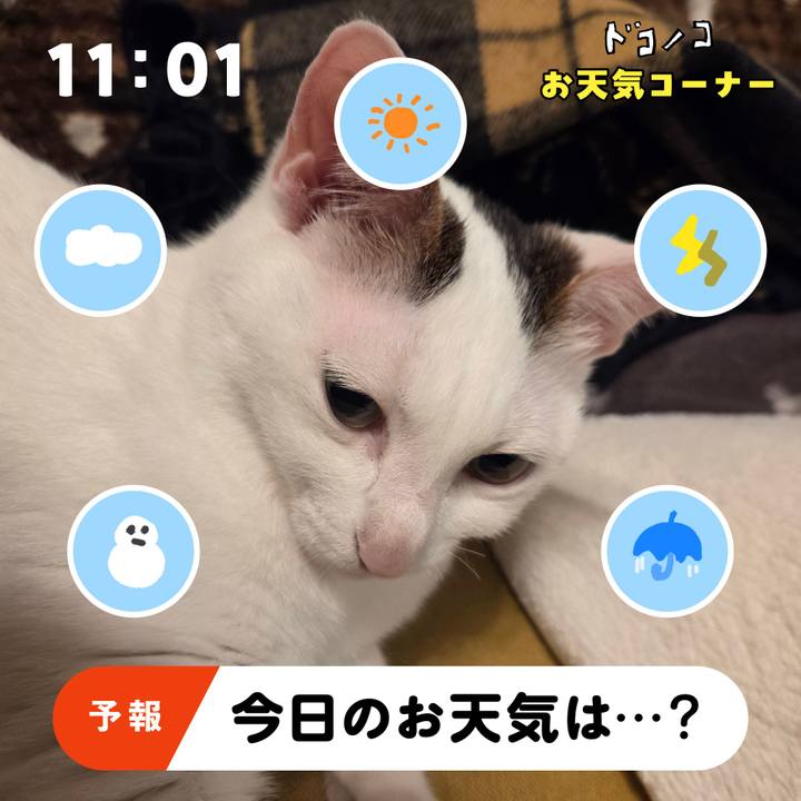 0c42a3a6 e308 4a29 b550 d74f87e3da9c 1781864601242
