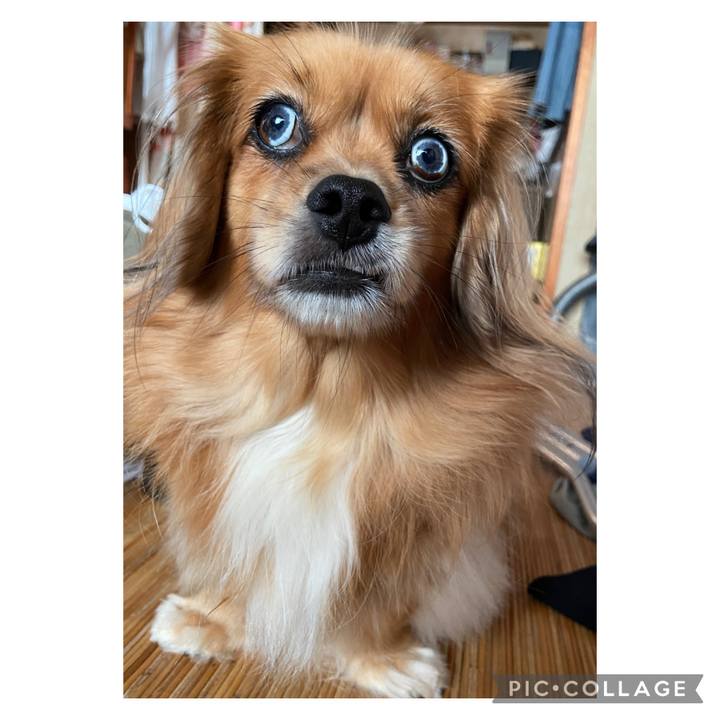 0c42ae19 2237 4837 b923 62701d9cddf6 1665277506413