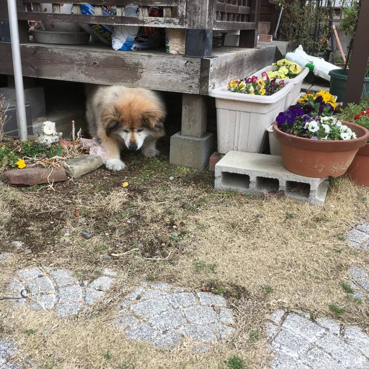 0c42c484 7d9b 4812 ae34 1040e654beba 1569115544269