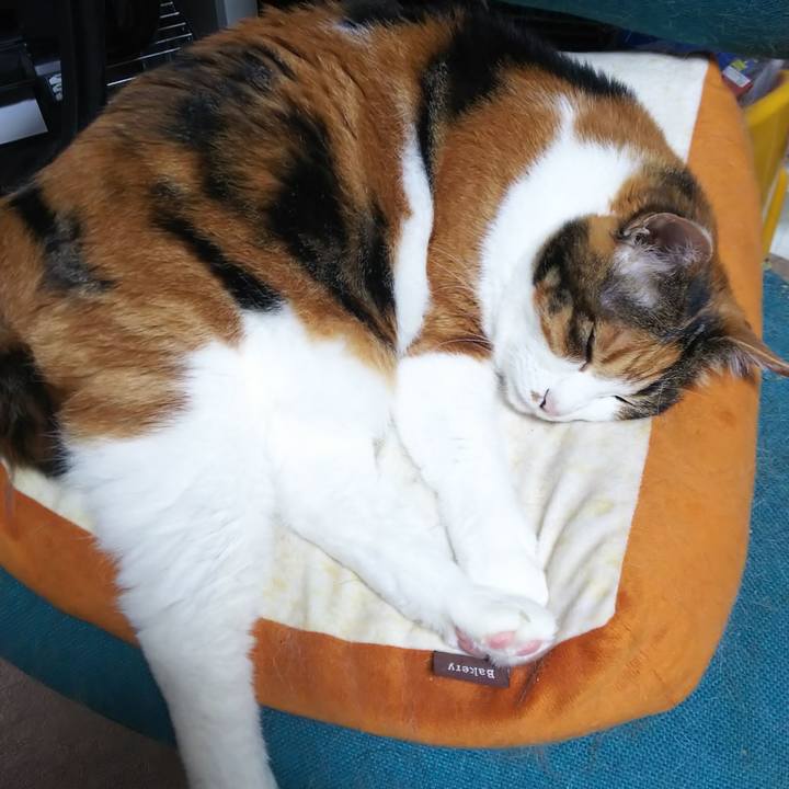 0c42d9af 0dda 416f 9f30 a834c63584bb 1561851375590