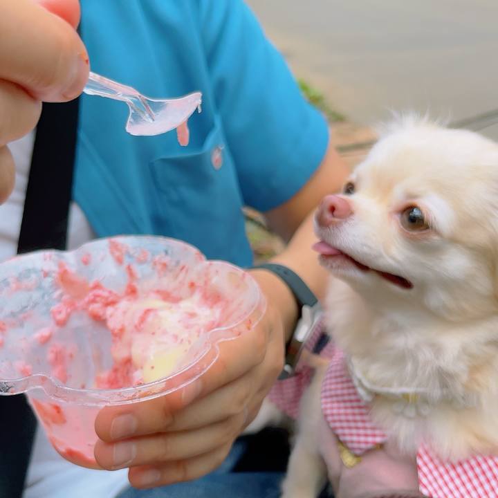 0c4302bf 19a1 43c2 ab24 5d1f5e510c61 1694427366925