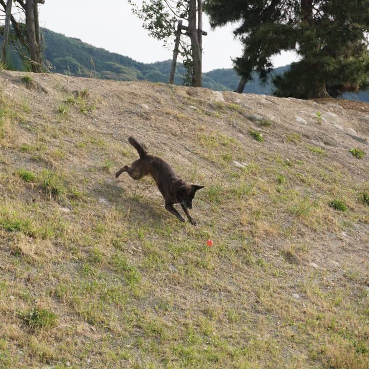 0c433b95 77d2 4f7e b502 776eb5322d2e 1560650871894