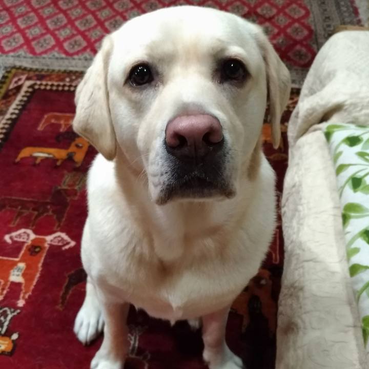 0c43511b 9eb9 4c22 951b 37536397b8d2 1540579165846