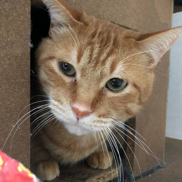 0c438145 b38f 4b1f b136 4b6951344ef2 1606948239753