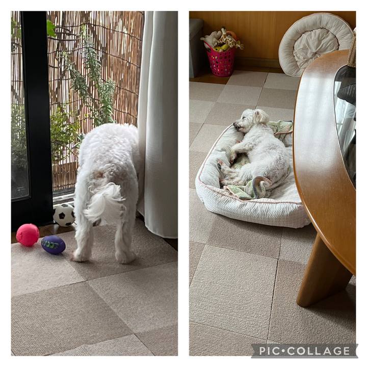 0c43be36 9228 4b62 9512 0933462000b4 1719806490870