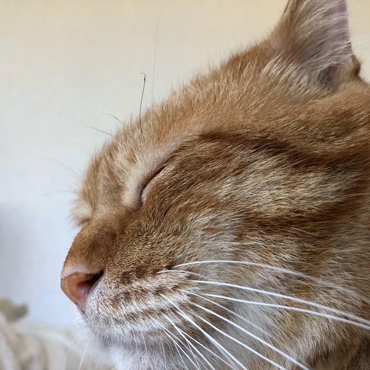 0c43d1c3 f8a4 46f5 820d 0d1fa9c46592 1590813305435