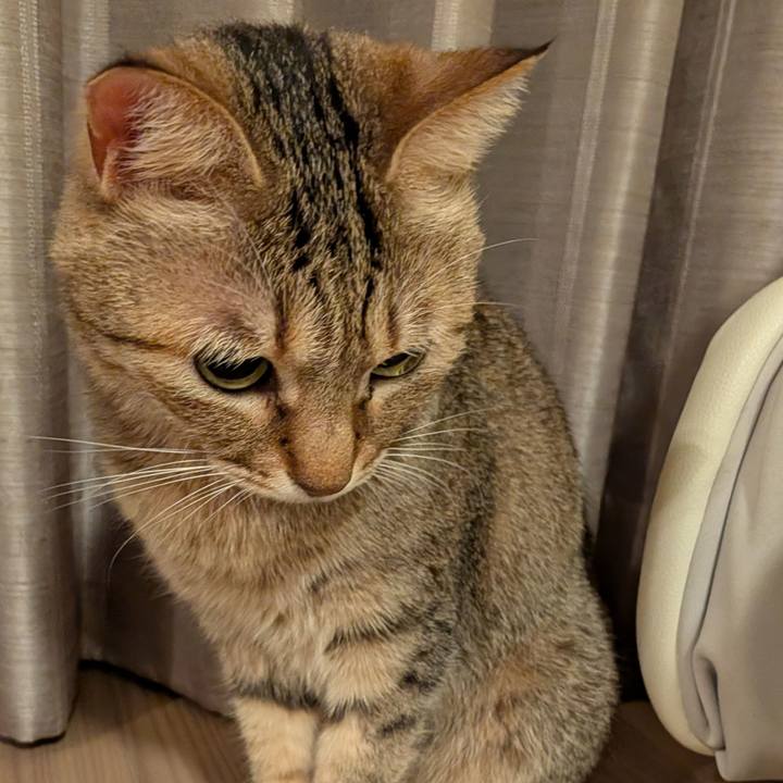 0c44a5bf 3b6f 4e33 9822 c9f00a9926ae 1764713267903