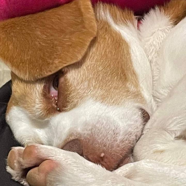 0c44b6c9 88f8 4606 9674 085faf84053f 1669122624727