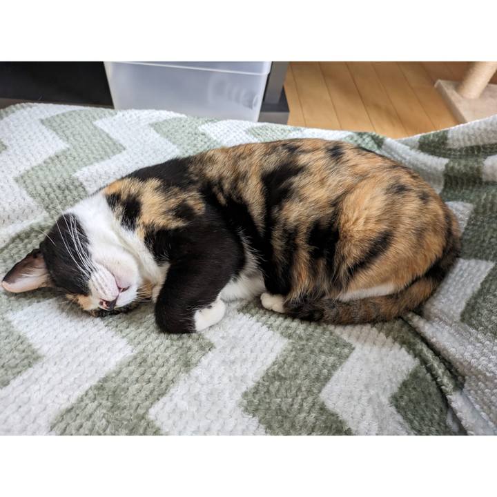 0c452b0f a3e4 4842 9d99 2ca1ed83e76d 1694576626265