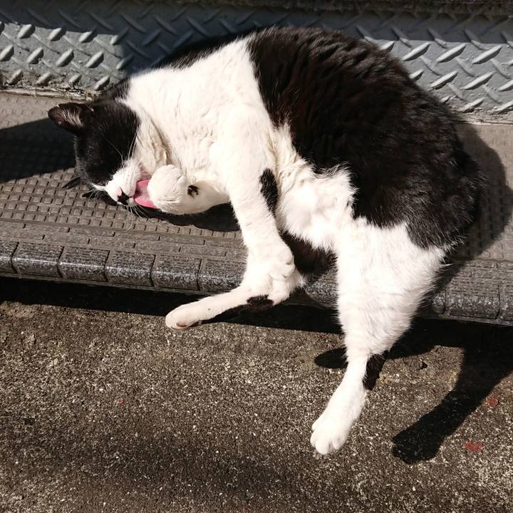 0c455ed8 e1e9 46ff 8905 05042e8e3ed9 1551582149080