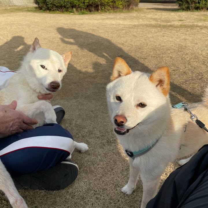 0c45ea3c 5e39 44d5 bd31 f273f33a7d9d 1676637972532