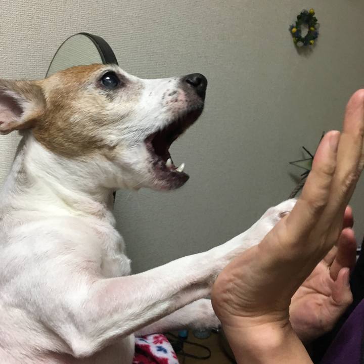 0c4606a9 eaef 4ebf 9404 5996bda97481 1514502634449