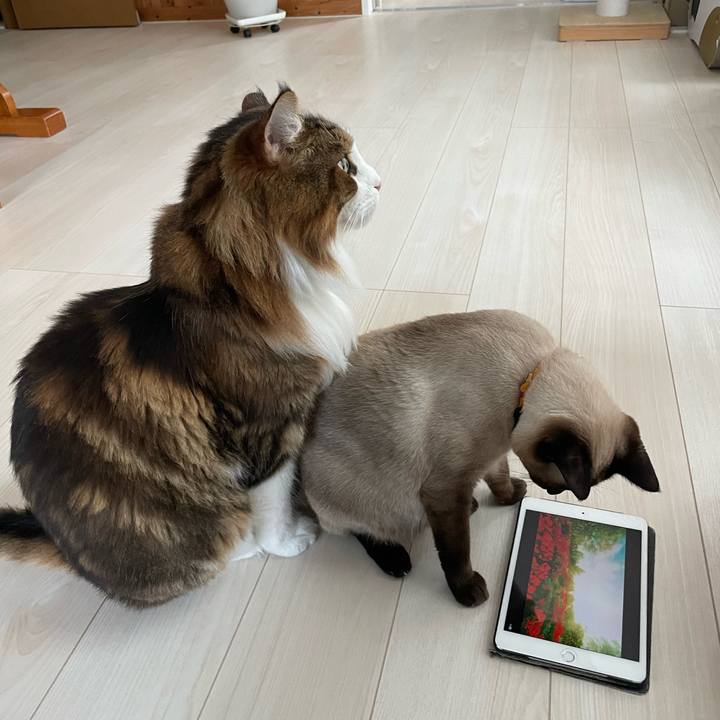 0c463316 0731 44f0 9e30 5f269a348058 1726091488570