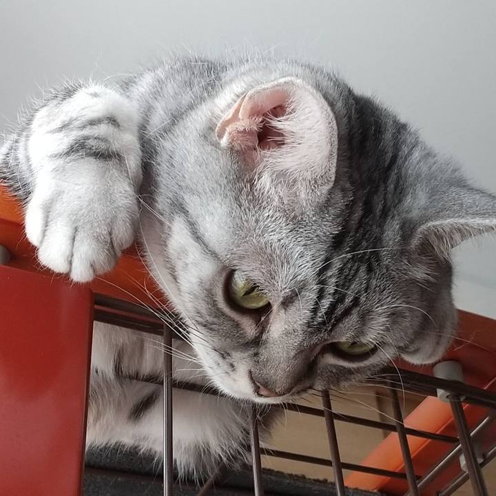 0c46744d 1bf4 408a 8c1e 78f8664d179c 1718414970006