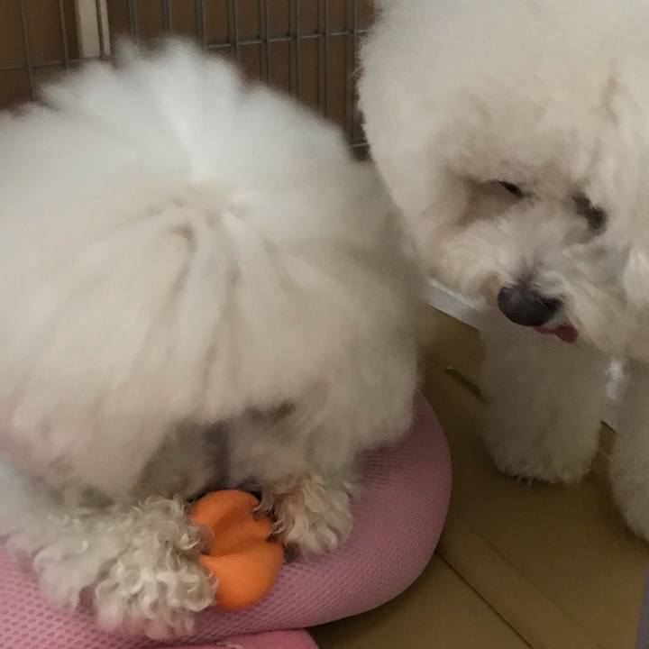 0c469fca ed79 46c3 9f64 78dd050df5f1 1560039112097