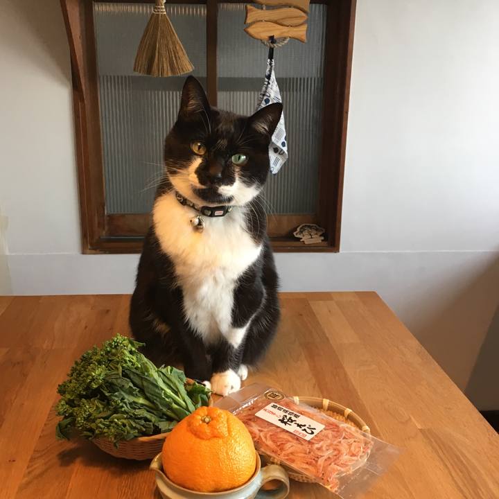 0c46df3d a5cb 4def 9807 9fc4259eb1fb 1522480077447