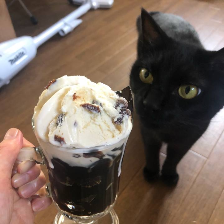 0c4738b2 768e 4fe7 8f8f f689c7b5f0c5 1628240311201