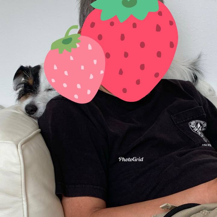 0c477c3f df17 4aa8 aadc 51e92431425e 1588737215300