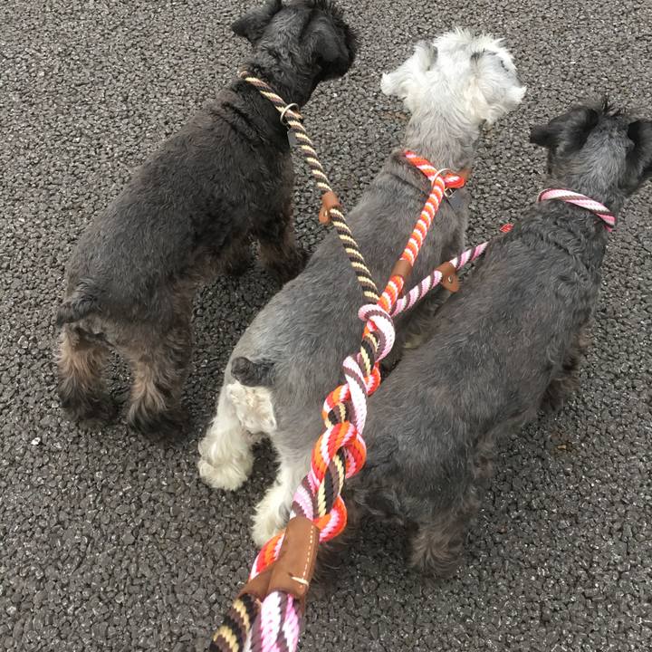 0c478fd7 7fc0 4093 87a9 c3ad7a673d3a 1509748564242