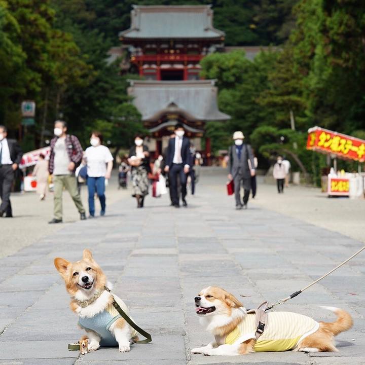 0c47ab59 7468 4b14 9074 7fa9a2541797 1602930674742