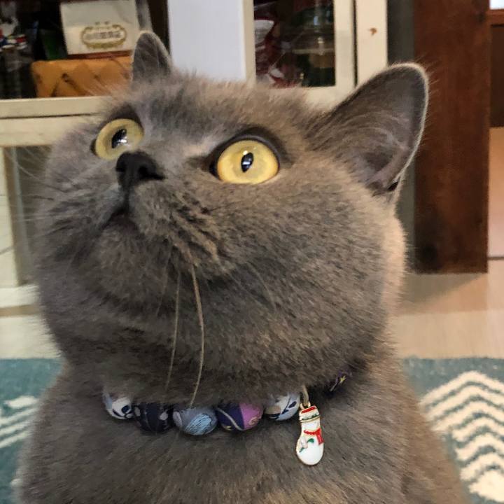 0c47ae58 d2bd 4085 acb3 e0fa5277b937 1573979021953