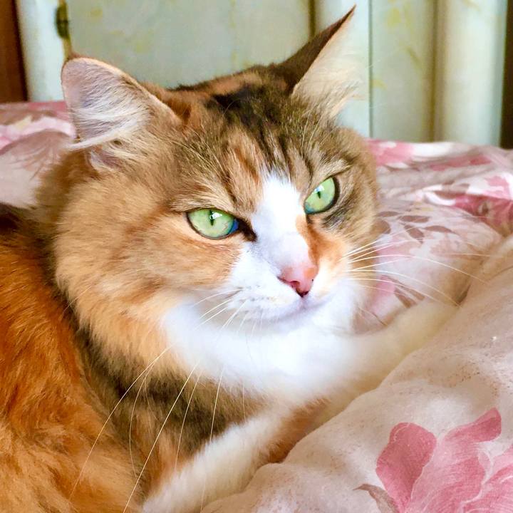 0c47b424 d007 408c a668 1a91befd63c4 1580701701012