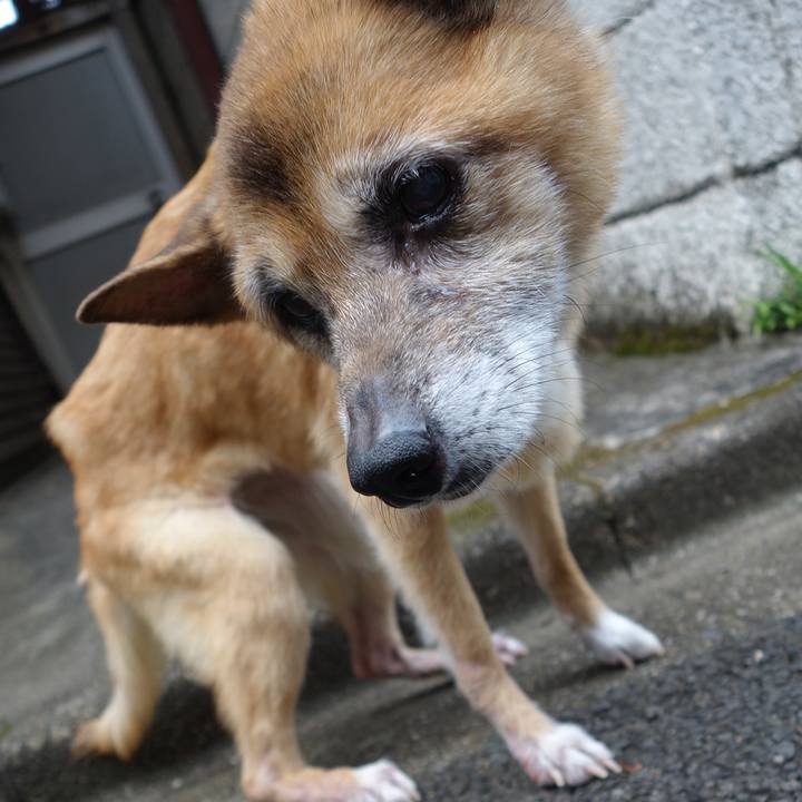 0c47e00f 4e77 4f09 ac48 5909f9a19069 1566381078765