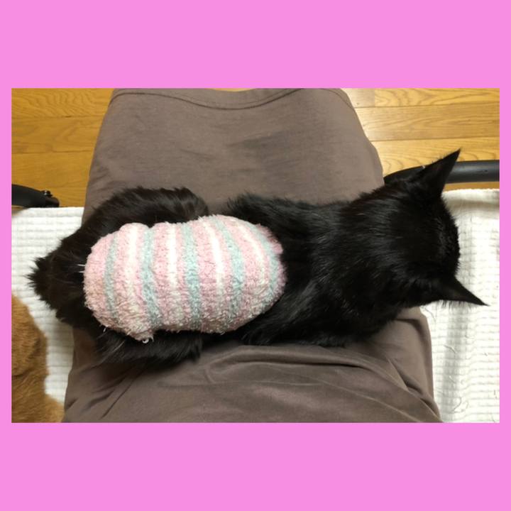 0c4814ec 57da 4a28 9be8 72cb64a55ef9 1642857639917