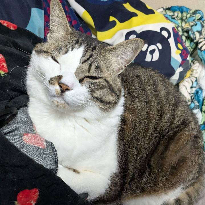 0c486143 f991 4dd7 8195 700bdd6735dd 1769784461665