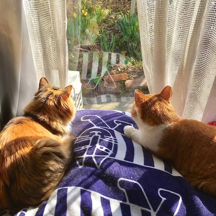 0c4861d3 3c32 4e85 885f df30ef7b62b5 1585140608619