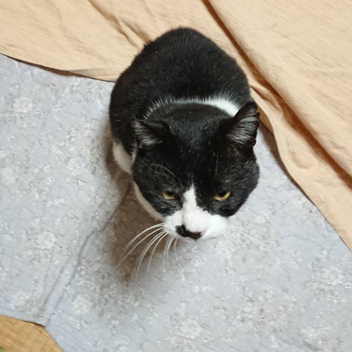 0c488c26 12f9 44c8 ab3f 39eb23688c49 1670322621445