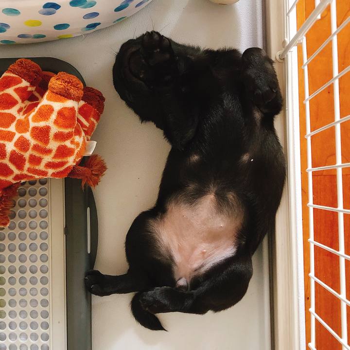 0c48d053 c8ad 4561 b544 35020abda1ba 1589152985838